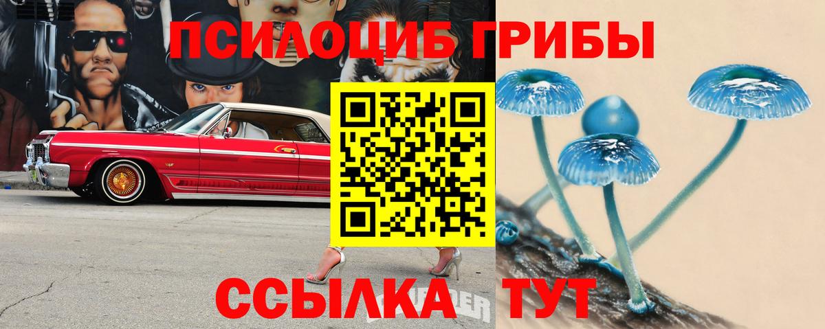 Псилоцибиновые грибы прущие грибы Котлас