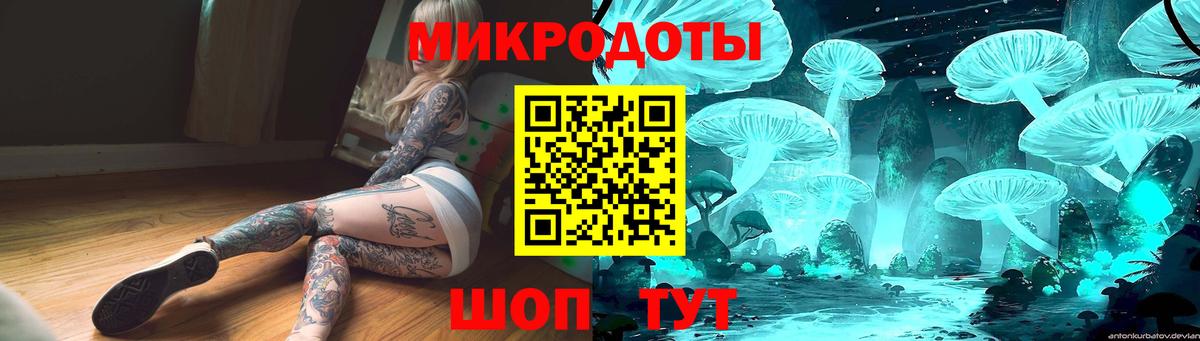 даркнет сайт  Галлюциногенные грибы MAGIC MUSHROOMS  Вход с VPN  Котлас  Псилоцибиновые грибы мицелий 